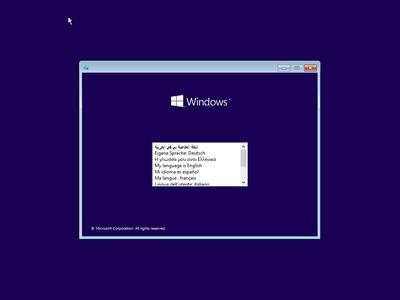 Windows 10 Pro 22H2 build 19045.2673 Preactivated Multilingual (x64)