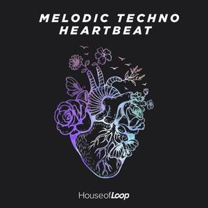House Of Loop Melodic Techno Heartbeat MULTiFORMAT