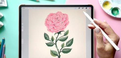 Drawing Flowers from References Stylized Rose Illustration in Procreate