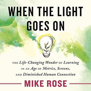 When the Light Goes On The Life-Changing Wonder of Learning in an Age of Metrics, Screens, and Diminished Human [Audiobook]