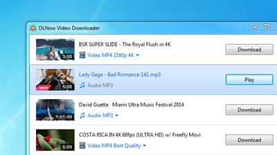 DLNow Video Downloader 1.51.2023.03.03  Multilingual