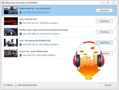 DLNow Video Downloader 1.51.2023.03.03 Multilingual + Portable