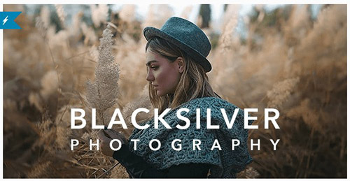 ThemeForest - Blacksilver v8.9.6 - Photography Theme for WordPress/23717875