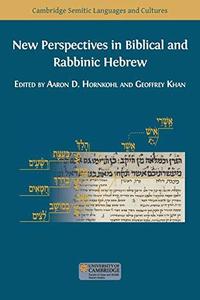 New Perspectives in Biblical and Rabbinic Hebrew