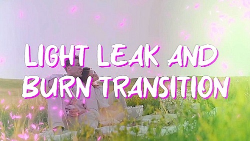 Videohive - Light Leak Transitions And Burn Transitions 43335318 - Project For Final Cut & Apple Motion