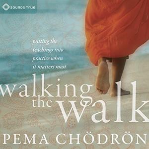 Walking the Walk Putting the Teachings into Practice When It Matters Most [Audiobook]