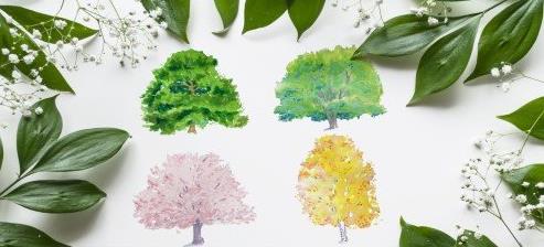 How to Paint Trees in Watercolor An Introduction to Color Mixing and Painting for Beginners –  Download Free