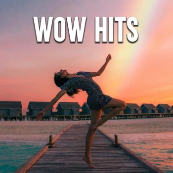 VA - Wow Hits (2023) MP3