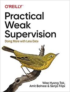 Practical Weak Supervision Doing More with Less Data