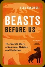 Beasts Before Us  The Untold Story of Mammal Origins and Evolution by Elsa Panciro...