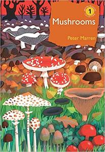 Mushrooms The natural and human world of British fungi