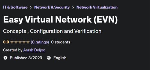 Easy Virtual Network (EVN) (2023)