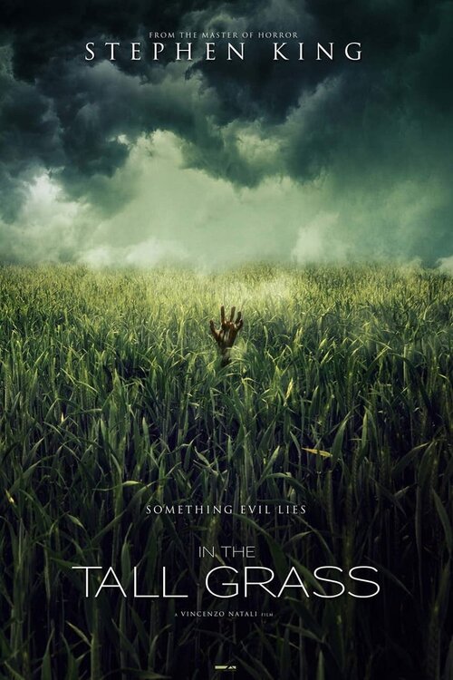W wysokiej trawie / In the Tall Grass (2019) PL.NF.480p.WEB-DL.XviD.AC3-LTS ~ Lektor PL