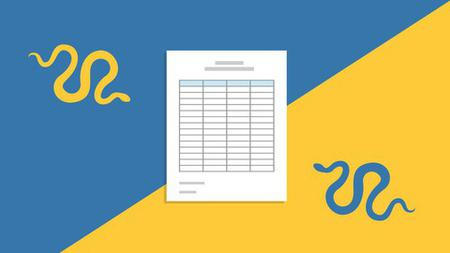 IPv4 Addressing & Subnetting Zero-to-Hero