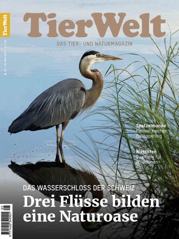 TierWelt - Nr.5 2023