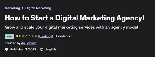 How to Start a Digital Marketing Agency!