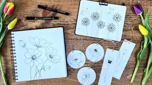 Botanical Drawing for Beginners –  How to Draw Simple Flowers –  Download Free