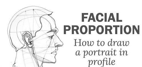 How to draw a portrait in profile