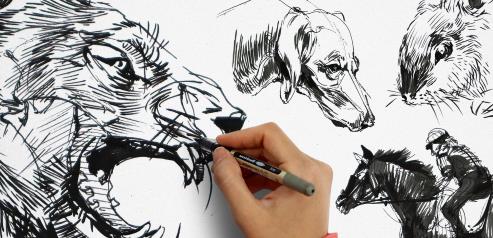 Masterclass of Animal Drawing Beginner to Advanced