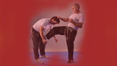 Krav Maga - Official Program Fekm Brown  Belt B8ca9582443d31e20e261c66780ced25