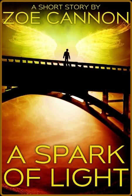 A Spark of Light by Zoe Cannon  Fd22ca2e1d374d2eefa9e56102dd9f40