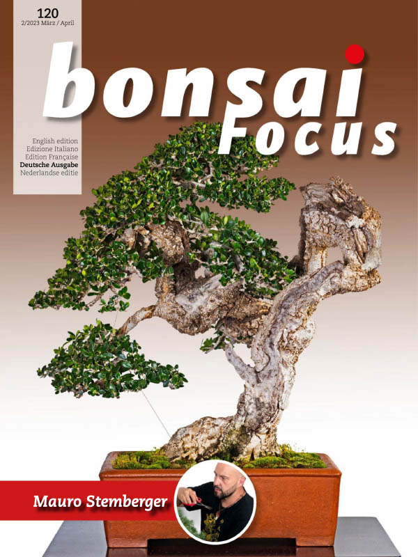 Bonsai Focus Magazin Nr 02 März - April 2023