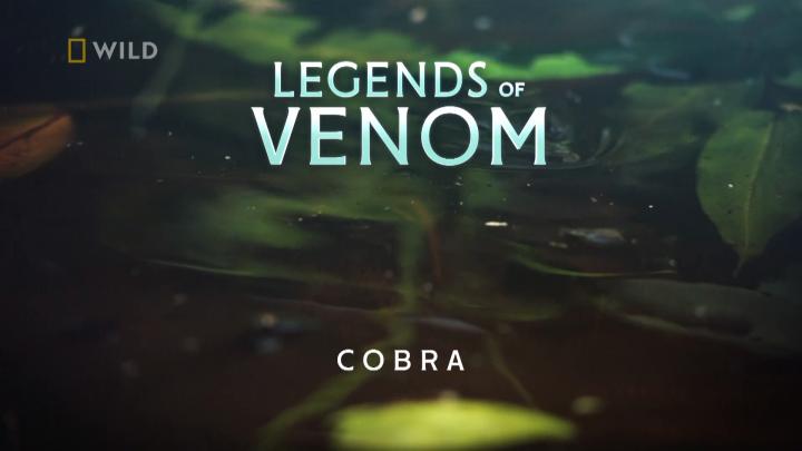 Tajemnice węży / Legends of Venom (2022) [SEZON 1] PL.1080i.HDTV.H264-B89 | POLSKI LEKTOR
