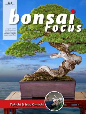 Bonsai Focus Magazin Nr 06 November - Dezember 2022