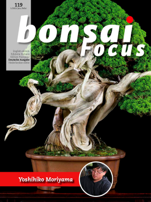 Bonsai Focus Magazin Nr 01 Janaur - Februar 2023