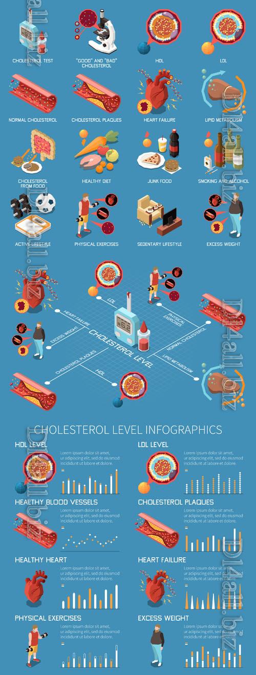 Vector cholesterol isometric icons set with hdl