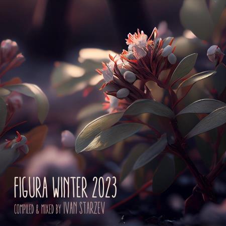 Figura Winter Figura Music (2023)