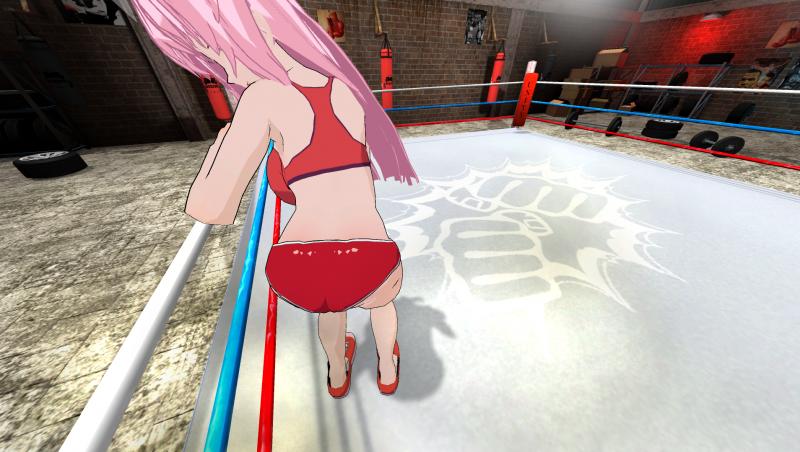 VR Boxing Game - Hentai Fighters VR v1.2.0 by Muhuhu Porn Game