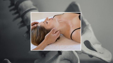 Premium Postural Massage Certification –  Touch To Heal –  Download Free