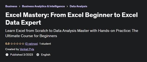 Excel Mastery From Excel Beginner to Excel Data Expert