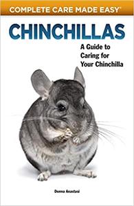 Chinchillas A Guide to Caring for Your Chinchilla