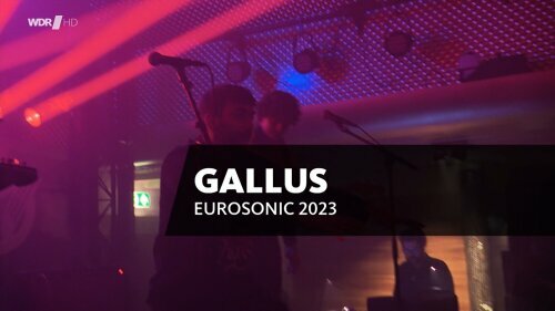 Gallus - Eurosonic Festival (2023) HDTV 720p