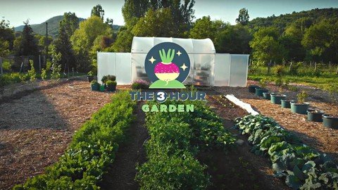 The 3-Hour Garden