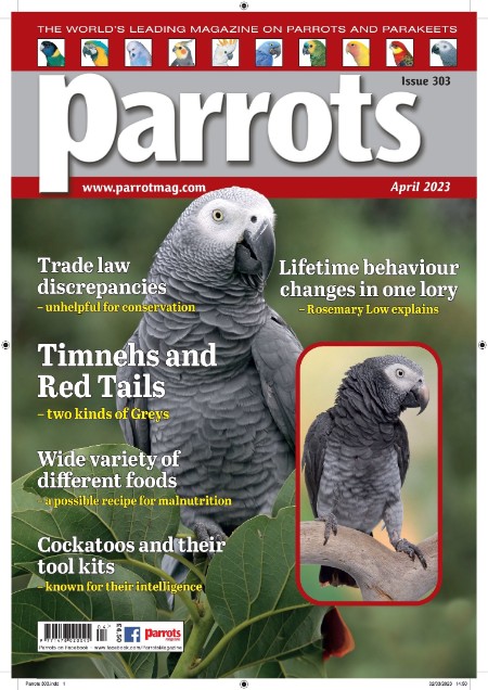 Parrots – April 2023