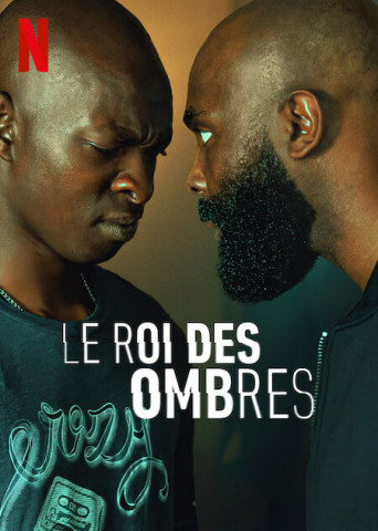 Le Roi des Ombres 2023 German Dl 1080P Web X264-Wayne