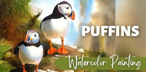 Puffins in Watercolor A Step-by-Step Guide