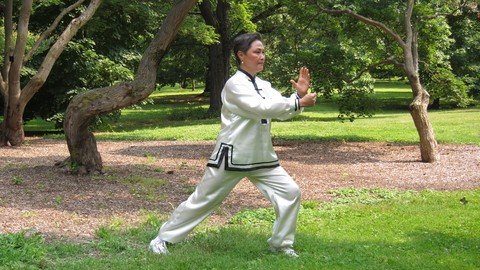 Therapeutic Qi Gong