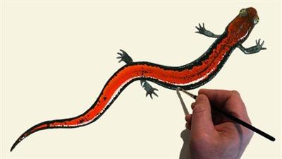 Paint Realistic Watercolors - How To Paint A  Salamander