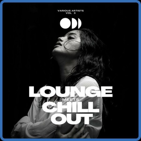 VA - Lounge Meets Chill Out, Vol  3 (2023) MP3