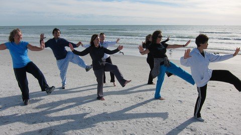 Tai Chi Instructor Training Certification Course Part 2/3 –  Free Download