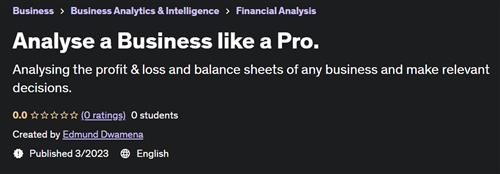 Analyse a Business like a Pro