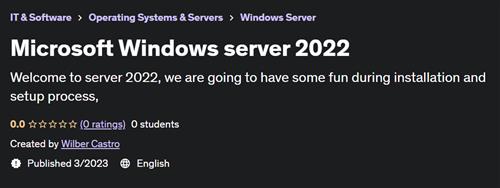 Microsoft Windows server 2022