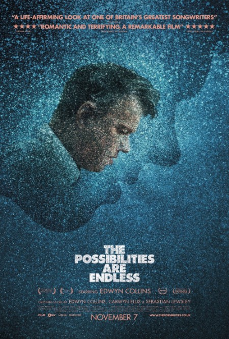 The Possibilities Are Endless 2014 1080p WEBRip x265-RARBG