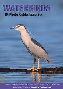Bird ID Photo Guides - 06 March 2023