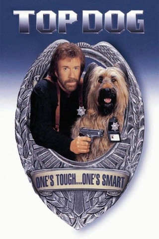 Top Dog 1995 German Dl 1080p Hdtv x264-NoretaiL