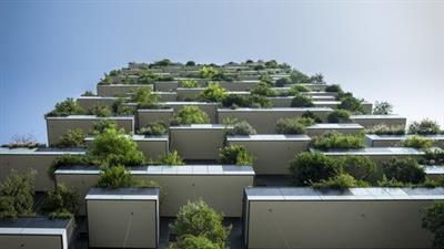 Green Walls And Green  Roofs 60761ee76a7bce5b64e931d64522cdf3